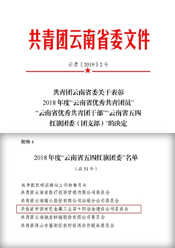 s關(guān)于表彰2018年度“云南省優(yōu)秀共青團(tuán)員” “云南省優(yōu)秀共青團(tuán)干部”“云南省五四紅旗團(tuán)委（團(tuán)支部）”的決定